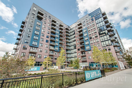 Fire-Rated Commercial Doors: AMLI Lofts Case Study