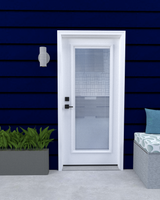 Full Clear Glass Steel Door with Blinds