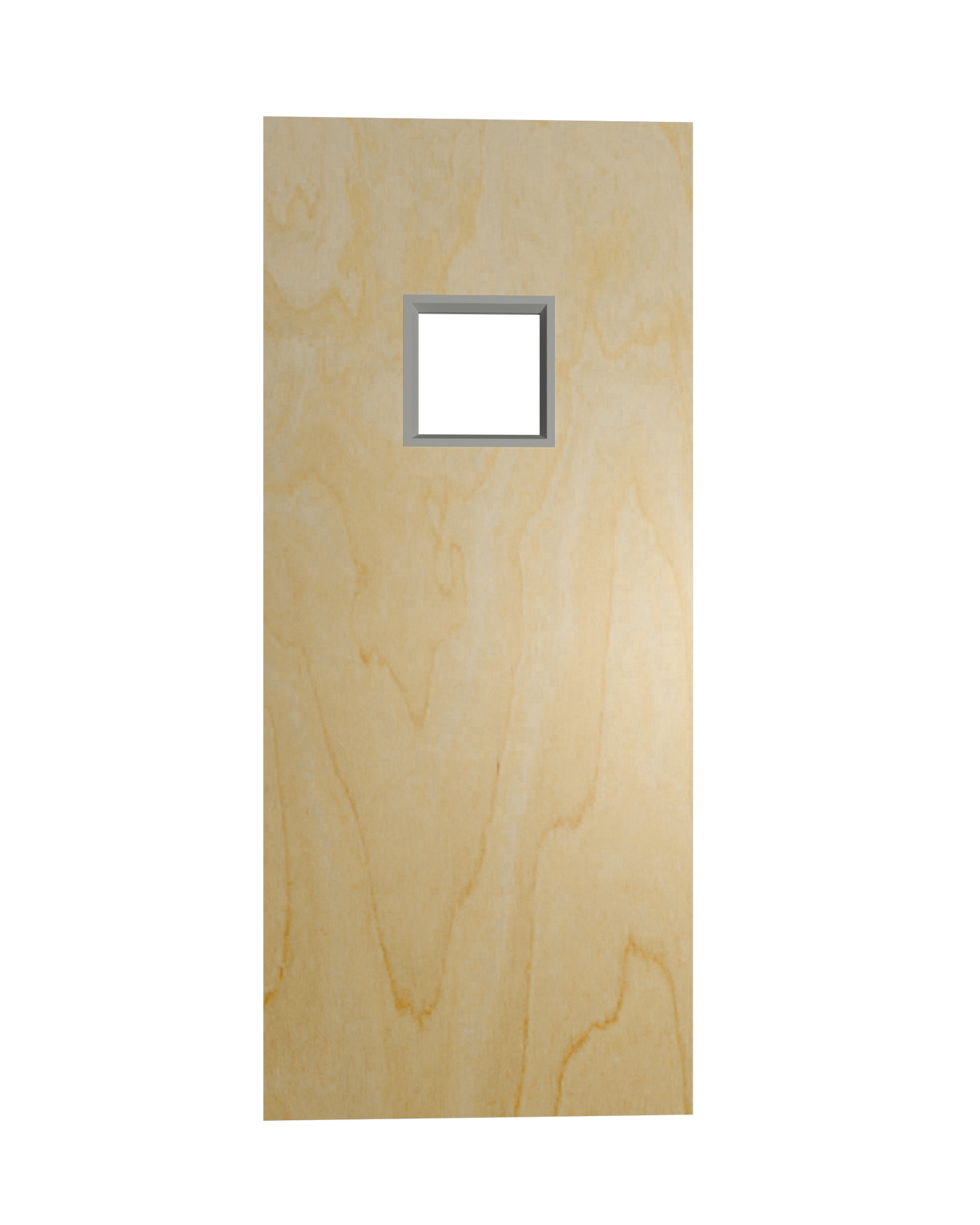 Commercial Birch Door with Hollow Metal Frame with Vision Vision Lite Slab