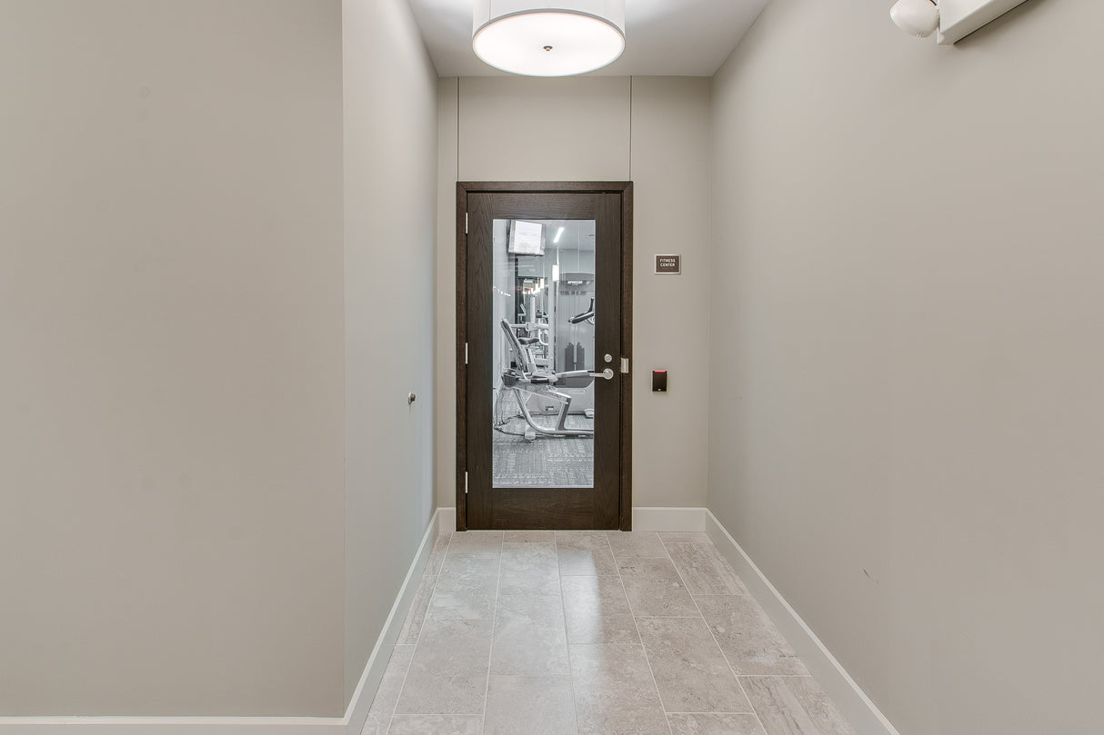 Commercial Birch Door with Hollow Metal Frame with Full Lite Slab