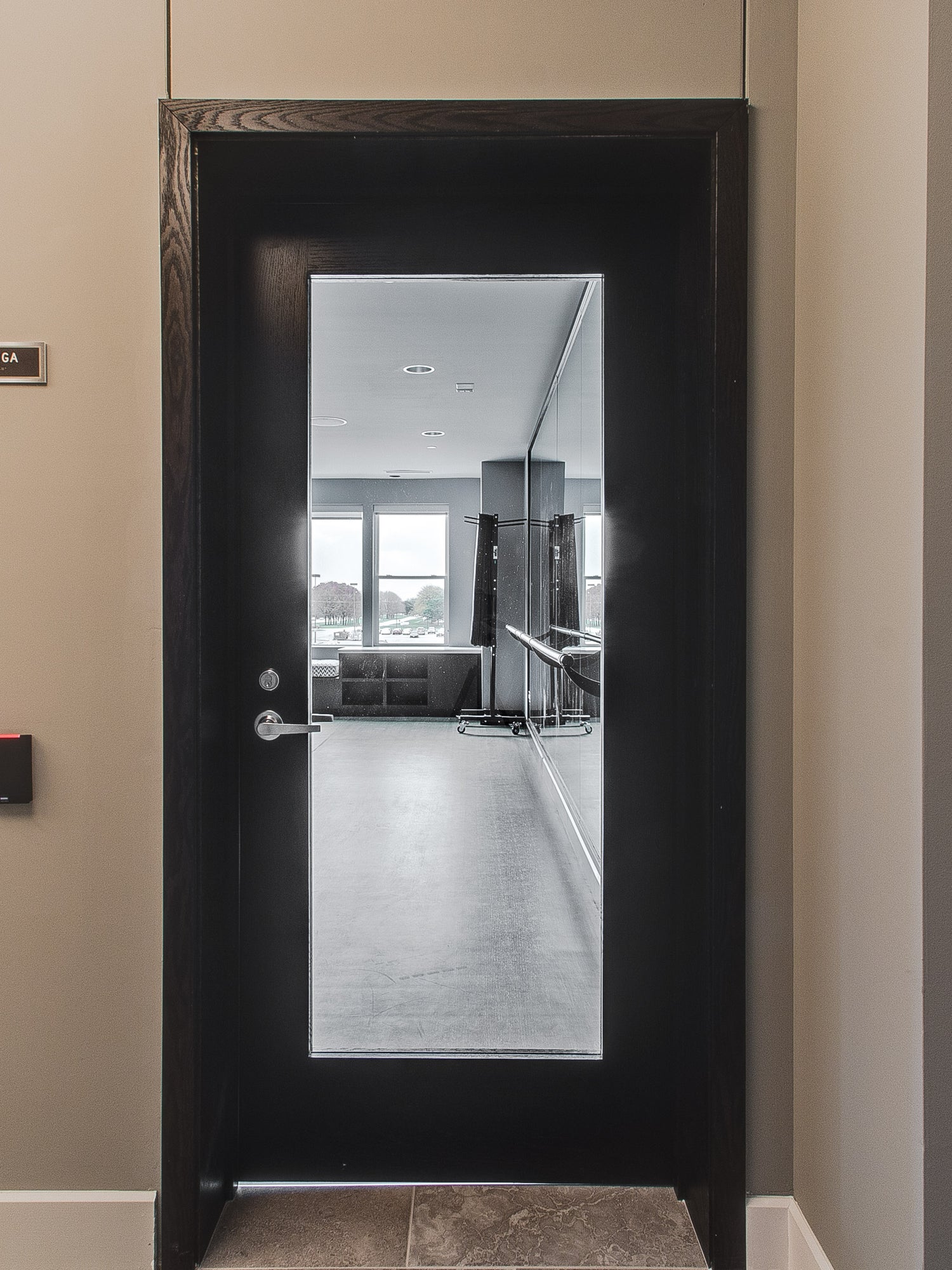 Commercial Birch Door with Hollow Metal Frame with Full Lite Slab