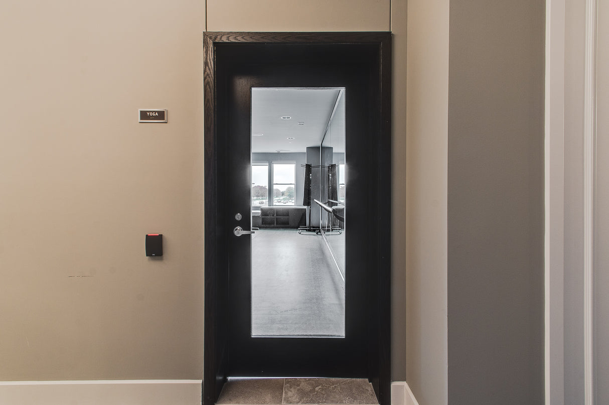 Commercial Birch Door with Hollow Metal Frame with Full Lite Slab