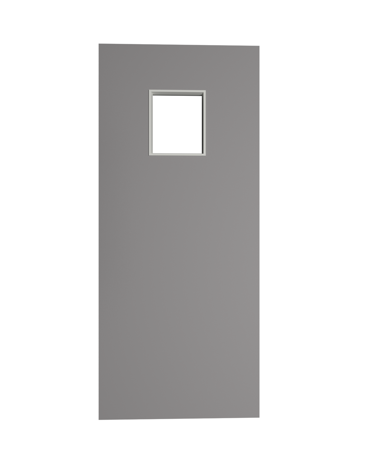 Hollow Metal Door with Vision Vision Lite Slab