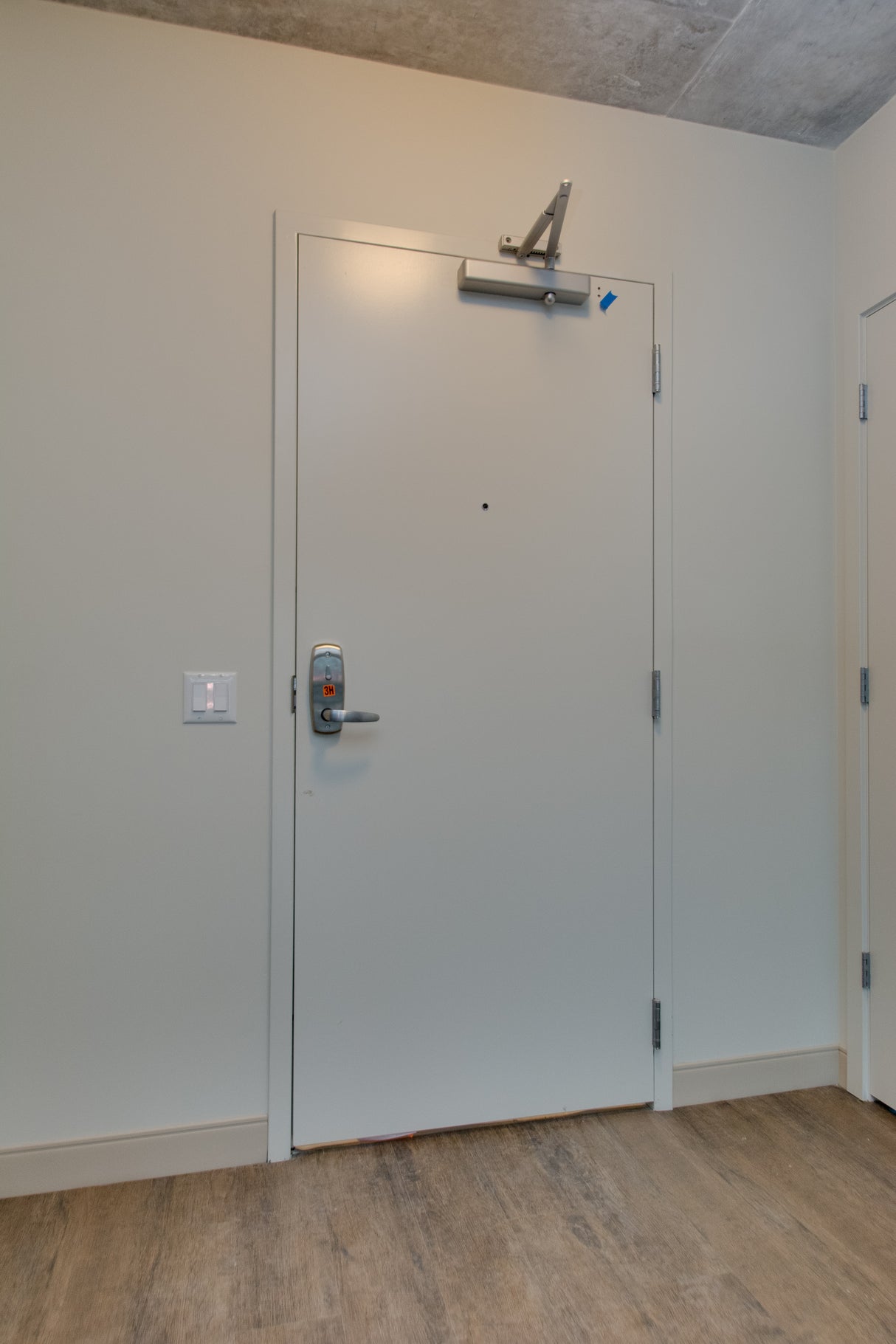 Flush Hollow Metal Door