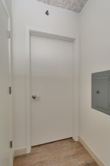 Flush Prehung