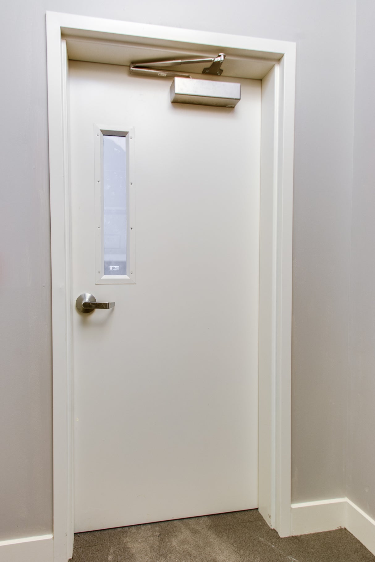 Hollow Metal Door with Narrow Vision Lite Slab