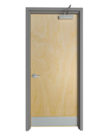 Commercial Flush Birch Door with Hollow Metal Frame