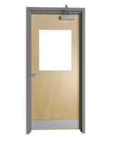 Commercial Birch Door with Hollow Metal Frame with Half Lite