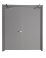 Flush Hollow Metal Double Door