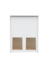 Flush Double with Louver Insert