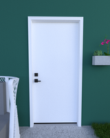 Flush Smooth Steel Door